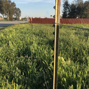 Clôture en Y en acier <span class=keywords><strong>bitumineux</strong></span> durable et résistant à la corrosion <span class=keywords><strong>prix</strong></span> de gros pour la modélisation 3D de clôture de ferme incluse - Product Image 6