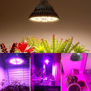 Lámpara de Cultivo para Plantas Raylights XKD-PAR38, Par38 de <span class=keywords><strong>Espectro</strong></span> <span class=keywords><strong>Completo</strong></span>, IP65, Aluminio, Bombilla <span class=keywords><strong>LED</strong></span> E27, 3000LM, 150lm/W, 50,000 Horas de Iluminación - Product Image 2