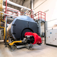 Chaudière générateur de vapeur industrielle de 100, 150, 250, 300, 400, 500, 700, 750, 1000, 3000 kg/h, alimentée au diesel, au mazout, au gaz naturel ou au GPL