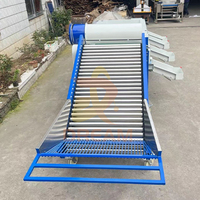 Automatische Knoflook Kruidnagel Aardappel Sortering Separator Machine Kersengroente Fruit Olijf Knoflook Grootte Sorteermachine