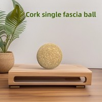 Kit d'étirement des muscles du dos pour Pilates, Bloc de yoga, Roue de yoga, Ballon simple, Ballon cacahuète, Colonne en liège haute densité, Bâton de massage en mousse solide