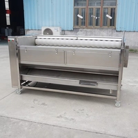 Volledig automatische schroeftype aardappelwas- en schilmachine voor fruit- en groenteverwerking