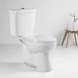 ZHONGYA Oem good quality shower room washdown toilet inodoro bathroom ceramic two piece toilet bowl