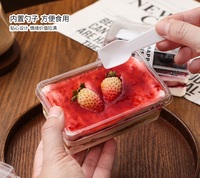 Boîte à gâteau rectangulaire en plastique avec couvercle et cuillère
