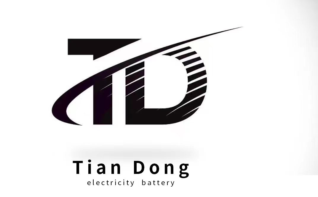 Pingxiang Tiandong Electrical Technology Co., Ltd. logo