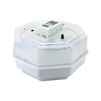 Incubateur d'oeufs de poulet d'oeufs et machine d'éclosion