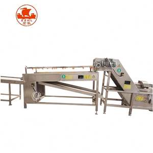 Lavage de raisin sec de pomme de légume de fruit végétal enlevant la machine de polissage d'impureté - Product Image 3