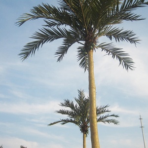 Todo tipo <span class=keywords><strong>de</strong></span> Planta Artificial falsa Palma árbol - Product Image 4