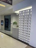 Briques creuses en polyuréthane, 100% matériaux neufs, légères, populaires, en mousse PU, 18 grilles, construction d'écran, intérieur et extérieur