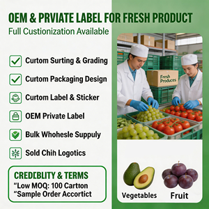 OEM ODM Lemon Segar Buah Citrus Grosir Distributor Langsung Pabrik Label Pribadi Musim Baru Pemasok Shaanxi Kualitas Terbaik