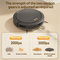 Robot aspirateur intelligent 3 en 1 avec commande par application, aspiration de 3000 Pa, filtre HEPA, nettoyage efficace à sec et à humide pour la maison