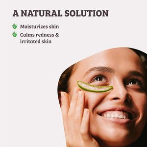 ETRUN ALISA - Crema Facial de Gel de <span class=keywords><strong>Aloe</strong></span> <span class=keywords><strong>Vera</strong></span> Orgánico de Marca Privada <span class=keywords><strong>para</strong></span> la Eliminación de <span class=keywords><strong>Cicatrices</strong></span> de Acné, Terapia Profesional <span class=keywords><strong>para</strong></span> <span class=keywords><strong>Cicatrices</strong></span>, <span class=keywords><strong>para</strong></span> Todo Tipo de Piel - Product Image 2