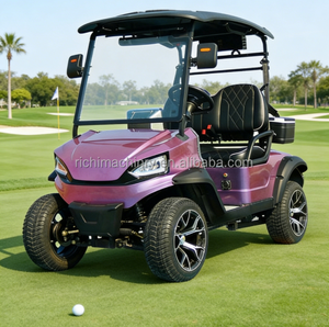 Carrito de Golf Eléctrico de 4 Plazas Tipo G Wagon para Recorridos Ecológicos, Turismo Rural, Vehículo Cómodo para Varias Personas, Vehículo de Ocio y Viaje, Remolque Utilitario - Product Image 4
