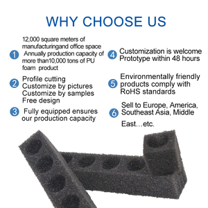 Nhà Máy Bán Hàng Trực Tiếp Đơn Giản Và Sạch sẽ Dễ Dàng Để Trồng Thủy Canh Miếng Bọt Biển Ở Nhà Làm Vườn Miếng Bọt Biển - Product Image 3