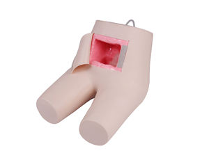 Modèle d'assistance pour le type de mannequin de lavement et de défécation - Product Image 1