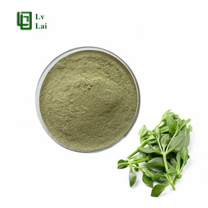 Polvo de Andrographis <span class=keywords><strong>Paniculata</strong></span> de Alta Pureza y Contenido, Polvo de Chuanxinlian, Grado Alimenticio Natural Puro - Product Image 1