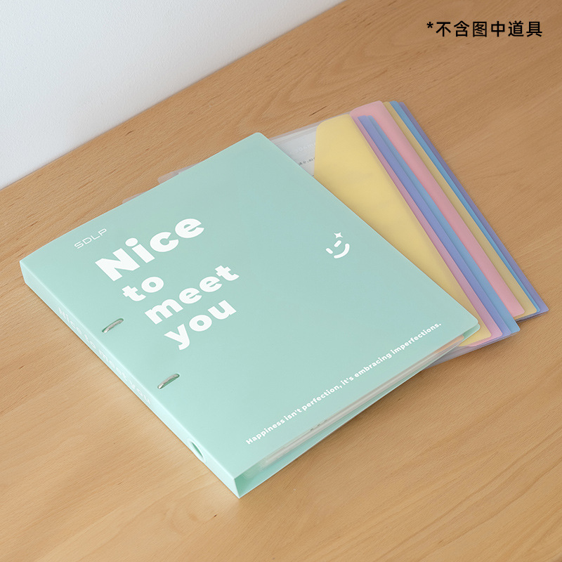 [Set] Folder - Mint Green 8-File Bag