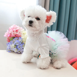 Doe Pet-ropa para perros y gatos, vestido de falda de malla <span class=keywords><strong>Sexy</strong></span> para perros pequeños, novedad, primavera y verano, gran oferta - Product Image 2