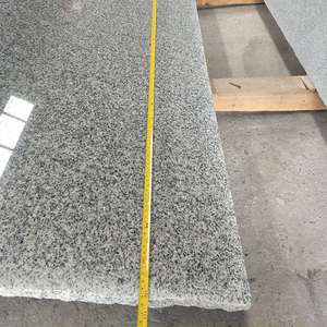 Exportación, fabricación Natural, barato, venta al por mayor, sal y pimienta, Popular, losa de granito gris plateado claro chino G603 - Product Image 3
