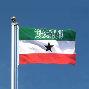 Drapeaux du drapeau somaliland de taille personnalisable pas cher 3x5ft Sunshine