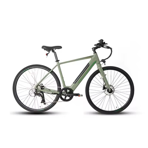 Bicicleta Eléctrica Económica de 36V 350W con Motor Trasero, Batería de Litio, Asistencia al Pedaleo, Alcance de 50km, para Adultos, Urbana - Product Image 2