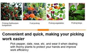 Outil <span class=keywords><strong>grattoir</strong></span> en céramique multifonctionnel avec revêtement antidérapant en caoutchouc pour la cueillette des légumes et des fruits, outils de jardinage à main - Product Image 4