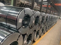 Meilleur fournisseur chinois de bobines d'acier galvanisé à chaud prépeintes, zinc Z30-Z40, norme ASTM, services de découpe et de pliage intégraux