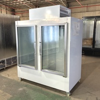 Vitrine Réfrigérée Verticale à Porte Vitrée pour Glace, Congélateur Commercial avec Ventilation Forçée, Contrôle Numérique Anti-Givre
