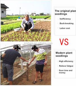 Prix de la petite machine à transplanter les <span class=keywords><strong>choux</strong></span> et les tomates à main - Product Image 6