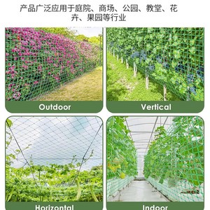 Malla de soporte para plantas trepadoras Chengye, 100 m, verde, de plástico, para pepinos, frijoles, enredaderas, jardinería y paisajismo - Product Image 3