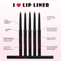 Kit de maquillage pour lèvres de luxe 3 en 1 Rouge à lèvres mat imperméable personnalisé Brillant à lèvres hydratant Crayon à lèvres végétalien Ensemble de lèvres longue durée