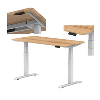 Tables électriques réglables à double moteur, bureau debout, cadre de bureau réglable en hauteur, bureau debout, mobilier de bureau de luxe