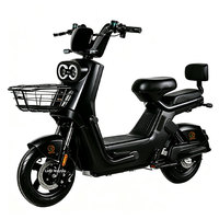 Vélo électrique élégant pour adultes à deux places, moteur 1000W, freins à disque avant et arrière, avec panier avant, personnalisable directement en usine