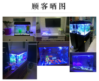 Kit d'aquarium LEECOM avec éclairage LED, système de filtration, pompe silencieuse et accessoires complets - Aquarium en verre pour la décoration de la maison/du bureau
