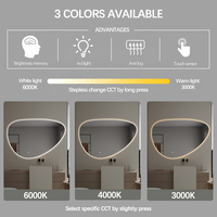 Miroir LED en galets organiques nordiques avec rétroéclairage, miroir intelligent asymétrique minimaliste pour la conception de salles de bain d'hôtels modernes