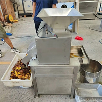 Industriële automatische sinaasappel-citroenpers/ ananas-citroensap extractor/ fruit-citroensapmachine