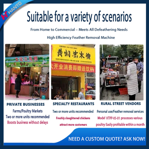 Commercial Durable &amp; Easy Clean Electric Poultry <strong>Plucker</strong> Machine Small Farm Feather Remover Fast <strong>Chicken</strong> Duck Plucking - Product Image 6