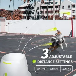 AFP Großhandel interaktiver Hundekugelwurf Hundekugel automatischer Tenniskugelwurf Wurfmaschine für Wurftraining im Freien