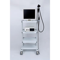 Matériel médical Endoscope ORL flexible Endoscope vétérinaire pour animaux Bronchoscope Rhinoscope/laryngscope Vidéo Nasopharyngoscope