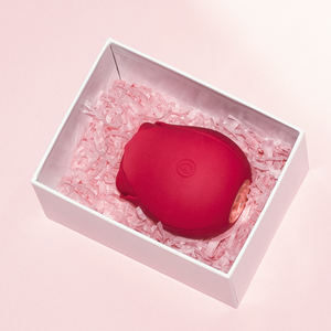 Vibrateur miniature électrique rose à succion très vendu, 10 fréquences, succion, léchage, masturbateur pour femmes, jouet sexuel pour adultes étanche - Product Image 3