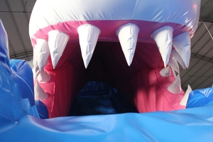 สไลเดอร์น้ำเป่าลมและสระน้ำคอมโบ WINSUN Shark PVC สำหรับใช้งานกลางแจ้ง พร้อมสีและขนาดที่ปรับแต่งได้ - Product Image 4