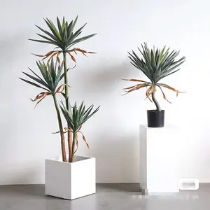 Wholesale Interior Decoration Potted Plant for Household Living Room Using