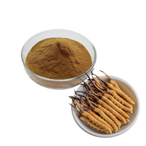 Extracto de Cordyceps sinensis 50% Polisacáridos en polvo Extracto de hongo Cordyceps sinensis - Product Image 2