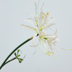 M822 Décoration florale Equinox de haute qualité, <span class=keywords><strong>Higanbana</strong></span> artificielle pour la décoration intérieure - Product Image 4