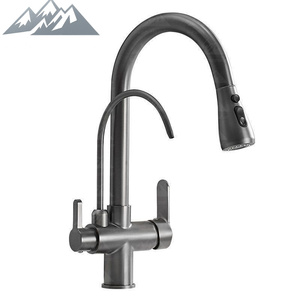 Смеситель для кухни Wayon Modern 2-в-1, цвет оружейной стали, из цинкового сплава, с выдвижным изливом-распылителем и фильтром для воды, модель Project WW-CFLT - Product Image 1