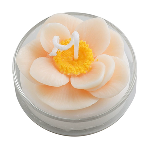 FLORESCENCE 59g <span class=keywords><strong>cera</strong></span> de soja lujoso cumpleaños boda Navidad perfumado aromaterapia hogar decorativo nueva flor tarro de cristal velas - Product Image 6
