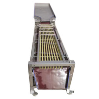 Classificateur d'olives de fruits Noix de coco Concombre Piment Machine de classement Cerise Manioc Avocat Trieuse