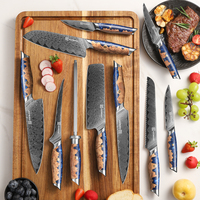 Ensemble de 10 couteaux en acier Damas, couteaux de cuisine, ensemble de couteaux de chef avec manches en bois de burl et résine, ensemble de couteaux de cuisine professionnels