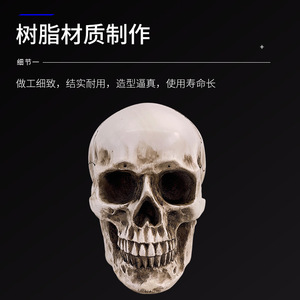 Pintura de bodegón con calavera de resina, arte de calavera humana, anatomía del músculo y esqueleto humanos, modelo de calavera, arte - Product Image 5