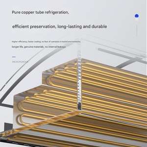 Frigoríficos y congeladores de barra de refrigeración por aire para hostelería, vino, cerveza y almacenamiento de hielo para refrigeradores de exhibición de helados - Product Image 5